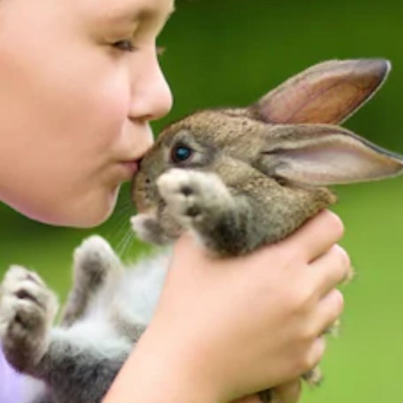 bunn_k